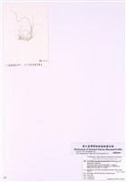 藏品(海蘚藻)的圖片